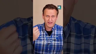 Навальный: Путин сошел с ума #свободунавальному #навальный #путин #война