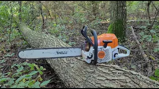 Stihl MS 400c - pierwsza piła z magnezowym tłokiem i olchy powalone na piętkę listwą  podtrzymującą.