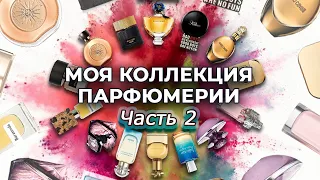 МОЯ КОЛЛЕКЦИЯ АРОМАТОВ - Часть 2 | Хранение парфюмерии