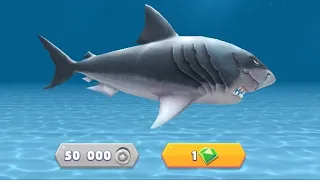 КАК КУПИТЬ ЛЮБУЮ АКУЛЫ В hungry shark evolution