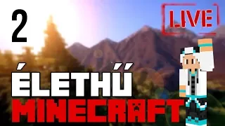 CSAK A MUMUST NE! 🐼 ÉLETHŰ MODOLT Minecraft 2. rész