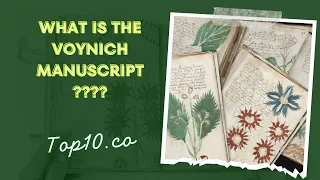 What is the Voynich Manuscript ?