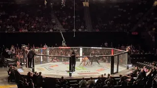 Cody Stamann knocks out Eddie Wineland (UFC Austin)