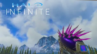 Halo Infinite - All Weapon Showcase