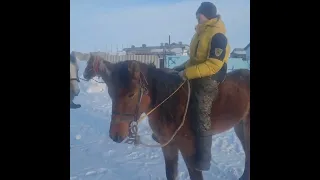 Что нужно для Счастья?Конь,простор и солнце!