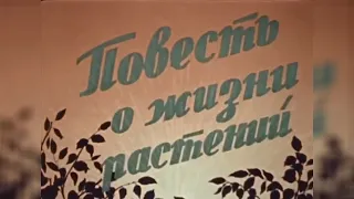 "Повесть о жизни растений" 1947