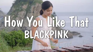 How You Like That - BLACKPINK / Marimba Cover