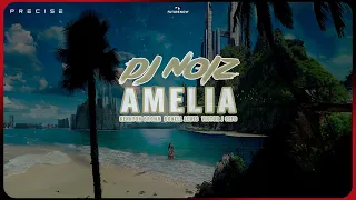 DJ Noiz - Amelia (Audio) ft. Victor J Sefo, Kennyon Brown & Donell Lewis