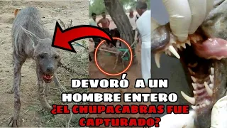 Animal extraño en QUIMILI Santiago del Estero (LA VERDAD)