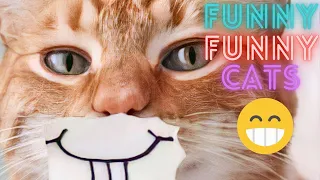 2 HOUR BEST FUNNY CATS COMPILATION 2023 😂| The Best Funny And Cute Cat Videos 15  !😸 😸