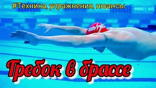 ГРЕБОК В БРАССЕ #ТЕХНИКА, УПРАЖНЕНИЯ, НЮАНСЫ #брасс #breaststroke #swimming