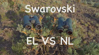 Swarovski EL VS NL Review