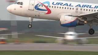 Airbus A320 RA-73805 Ural Airlines, посадка в Домодедово.