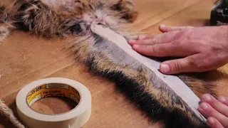 Taxidermy Fox Tail