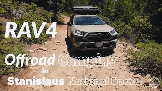 RAV4 TRD Camping Weekend: Exploring Stanislaus National Forest