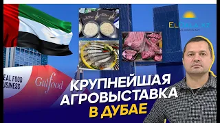 GULFOOD 2024. Что показал Казахстан? Тренды, спрос на мясную продукцию и здоровое питание