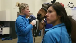 Clinique pour chevaux, paardenkliniek EQUITOM