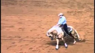 Shiners Voodoo Dr ~ 2010 NRHA Futurity Finals Run