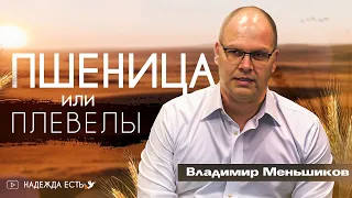 Пшеница или плевелы | Владимир Меньшиков | Проповедь