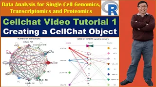 Cellchat Video Tutorial 1: Creating a CellChat object