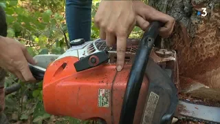 J'ai testé pour vous le métier de bûcheron