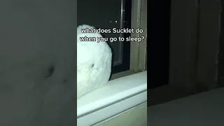 What does Sucklet do when you go to sleep?