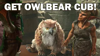 How to get Owlbear Cub companion to your Camp | Baldur's Gate 3 Guide
