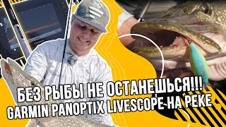 Оператор поймал трофейного голавля | Константин Кудинов о Garmin Panoptix LiveScope на реке