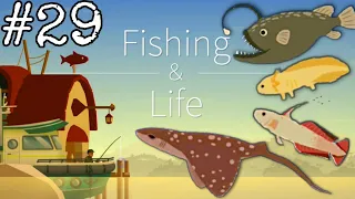 Catching The Golden Ufa Rufa And The Fire Goby! | Fishing And Life #29