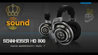 Обзор Sennheiser HD800. ВерШИНА динамического звука!