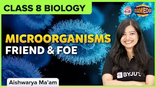 Exam Edge: Microorganisms : Friend and Foe  | Class 8 | Science | BYJU'S