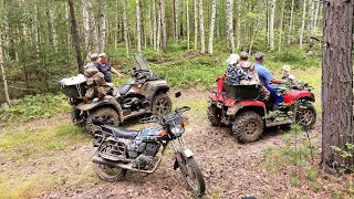 В ТАЙГУ ЗА ЯГОДОЙ. ГОЛОДНЫЙ ГОД.