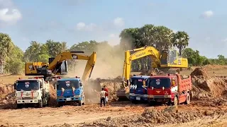 Excavator excavates hundreds of cars each