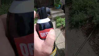 ortho foam spray for wasp and hornet