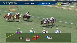 Gulfstream Park Race 6 | February 25, 2018