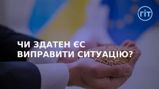 В чому проблема імпорту українського зерна для ЄС? | ГІТ