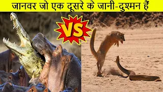 10 जानवर जो एक दूसरे के जानी-दुश्मन हैं | 10 Animals That are Naturally Enemies