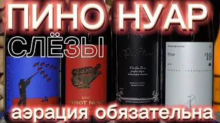 Пино Нуар. Пино Нуар  от Альма Валлей/Шато Пино/Тристория/Префератэ. Пино Нуар.