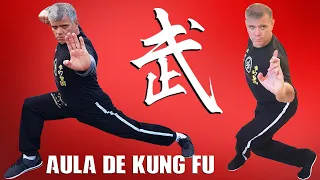 KUNG FU EM CASA PARA INICIANTE Posições Básicas - aula 1 Artes Marciais Chinesas