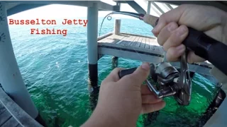 Catching Filefish Under Busselton Jetty | Fishing WA Part 2