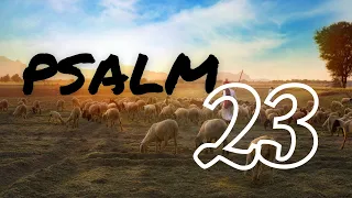 Psalm 23 | Planetshakers New Song | Live at planetshakers church