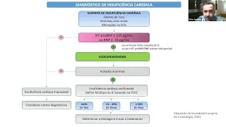 Indicações de Transplante Cardiaco