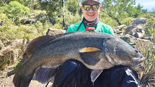 Crazy Murray Cod Lure Fishing Adventure in Outback Australia