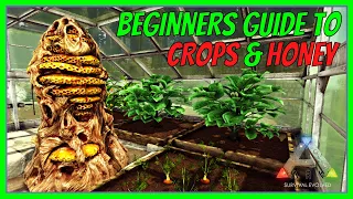 GREENHOUSE, CROPS & HONEY | Beginners Guide | ARK: Survival Evolved 2022 | The Island [S1 E7]