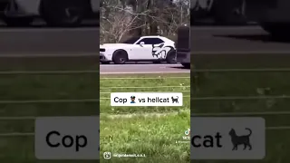 Look what a hellcat did to a police officer 😳