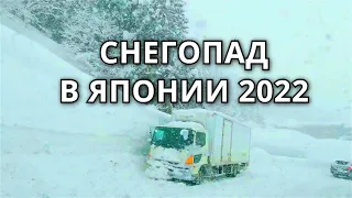 Снег в Японии 2022