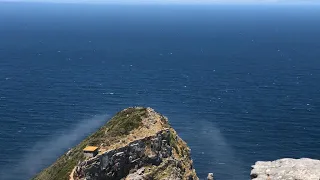 CAPE POINT | Take a drive with us!