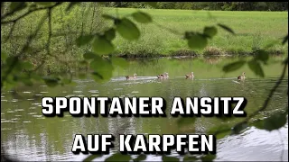 Spontaner Ansitz🎣beißt was?!