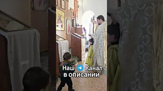 Маленький пономарь с братиком! Заамвонная молитва!