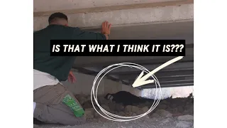 I Can't believe what we found under the bridge!!!